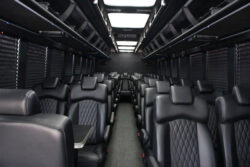 Executive Shuttle bus 31 Passengers